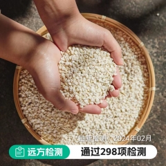 山珍频道出品 云南老品种糯薏仁