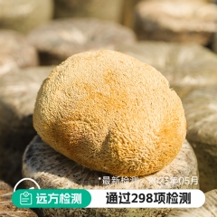 有机猴头菇 数量 200g*1袋